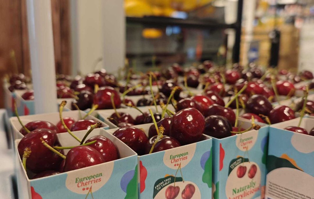 WhatsApp Image 2025-06-30 at 10.20.14